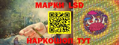 ПСИЛОЦИБИНОВЫЕ ГРИБЫ Ставрополь