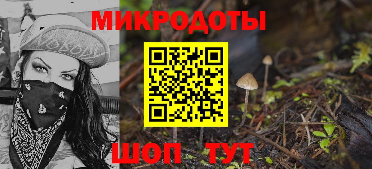 Галлюциногенные грибы Psilocybe Саянск